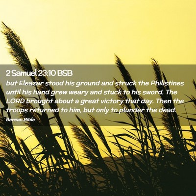 Picture 02 - 2 Samuel 23:10 BSB - but Eleazar stood his ground and struck the - Bible Verse Picture