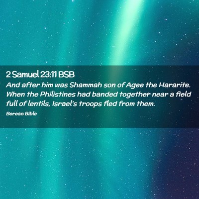 Picture 02 - 2 Samuel 23:11 BSB - And after him was Shammah son of Agee the - Bible Verse Picture