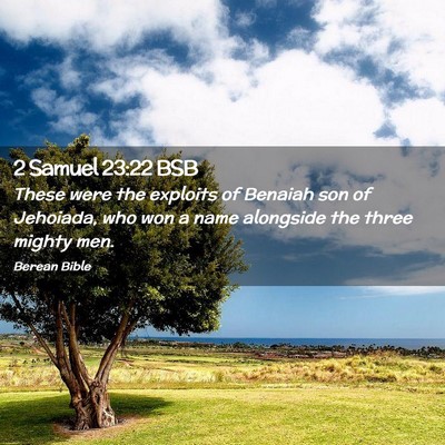 Picture 02 - 2 Samuel 23:22 BSB - These were the exploits of Benaiah son of - Bible Verse Picture