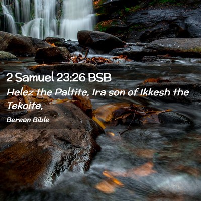Picture 02 - 2 Samuel 23:26 BSB - Helez the Paltite, Ira son of Ikkesh the - Bible Verse Picture