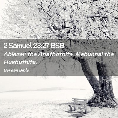 Picture 02 - 2 Samuel 23:27 BSB - Abiezer the Anathothite, Mebunnai the - Bible Verse Picture