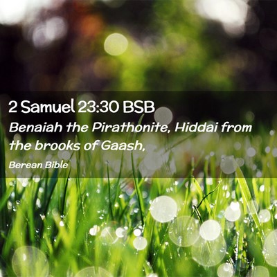 Picture 02 - 2 Samuel 23:30 BSB - Benaiah the Pirathonite, Hiddai from the brooks - Bible Verse Picture