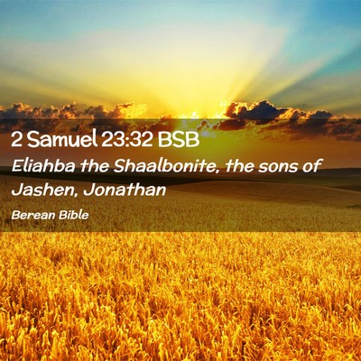 Picture 02 - 2 Samuel 23:32 BSB - Eliahba the Shaalbonite, the sons of Jashen, - Bible Verse Picture