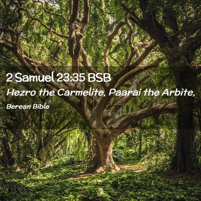 Picture 02 - 2 Samuel 23:35 BSB - Hezro the Carmelite, Paarai the - Bible Verse Picture
