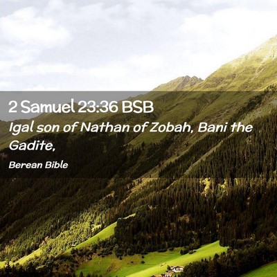 Picture 02 - 2 Samuel 23:36 BSB - Igal son of Nathan of Zobah, Bani the - Bible Verse Picture