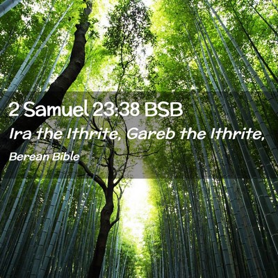 Picture 02 - 2 Samuel 23:38 BSB - Ira the Ithrite, Gareb the - Bible Verse Picture
