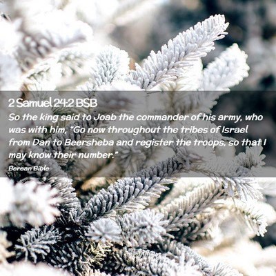 Picture 02 - 2 Samuel 24:2 BSB - So the king said to Joab the commander of his - Bible Verse Picture
