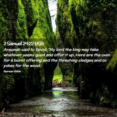 Picture 02 - 2 Samuel 24:22 BSB - Araunah said to David, “My lord the king may - Bible Verse Picture