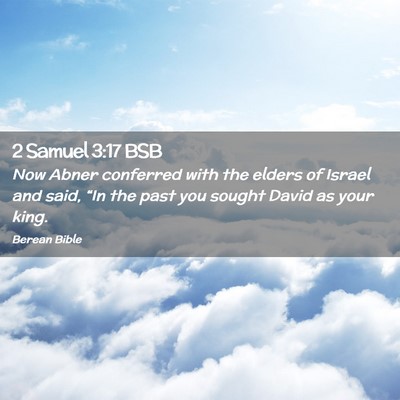 Picture 02 - 2 Samuel 3:17 BSB - Now Abner conferred with the elders of Israel and - Bible Verse Picture