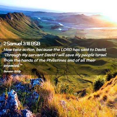 Picture 02 - 2 Samuel 3:18 BSB - Now take action, because the LORD has said to - Bible Verse Picture