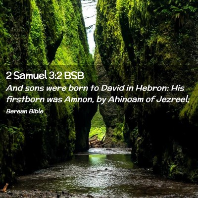 Picture 02 - 2 Samuel 3:2 BSB - And sons were born to David in Hebron: His - Bible Verse Picture