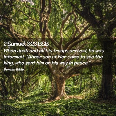 Picture 02 - 2 Samuel 3:23 BSB - When Joab and all his troops arrived, he was - Bible Verse Picture