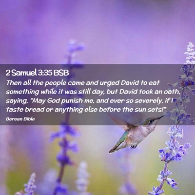 Picture 02 - 2 Samuel 3:35 BSB - Then all the people came and urged David to eat - Bible Verse Picture