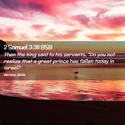 Picture 02 - 2 Samuel 3:38 BSB - Then the king said to his servants, “Do you not - Bible Verse Picture