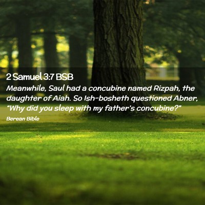 Picture 02 - 2 Samuel 3:7 BSB - Meanwhile, Saul had a concubine named Rizpah, the - Bible Verse Picture