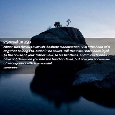 Picture 02 - 2 Samuel 3:8 BSB - Abner was furious over Ish-bosheth’s - Bible Verse Picture