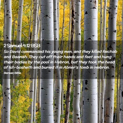 Picture 02 - 2 Samuel 4:12 BSB - So David commanded his young men, and they killed - Bible Verse Picture