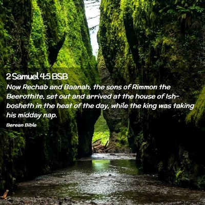Picture 02 - 2 Samuel 4:5 BSB - Now Rechab and Baanah, the sons of Rimmon the - Bible Verse Picture