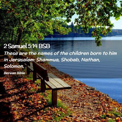 Picture 02 - 2 Samuel 5:14 BSB - These are the names of the children born to him - Bible Verse Picture