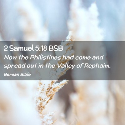 Picture 02 - 2 Samuel 5:18 BSB - Now the Philistines had come and spread out in - Bible Verse Picture