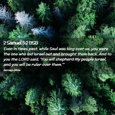 Picture 02 - 2 Samuel 5:2 BSB - Even in times past, while Saul was king over us, - Bible Verse Picture