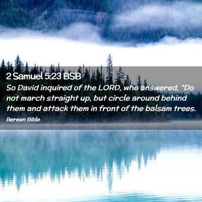 Picture 02 - 2 Samuel 5:23 BSB - So David inquired of the LORD, who answered, - Bible Verse Picture