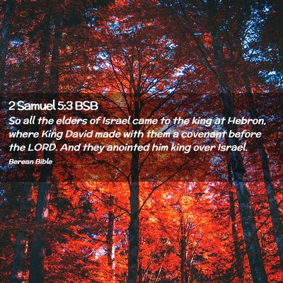 Picture 02 - 2 Samuel 5:3 BSB - So all the elders of Israel came to the king at - Bible Verse Picture
