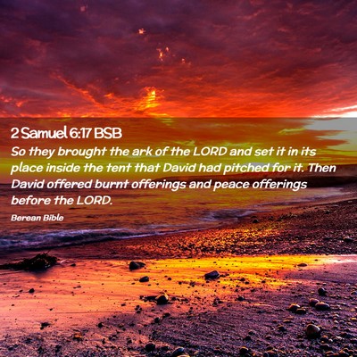 Picture 02 - 2 Samuel 6:17 BSB - So they brought the ark of the LORD and set it in - Bible Verse Picture