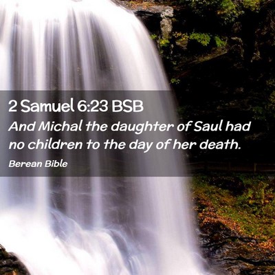 Picture 02 - 2 Samuel 6:23 BSB - And Michal the daughter of Saul had no children - Bible Verse Picture