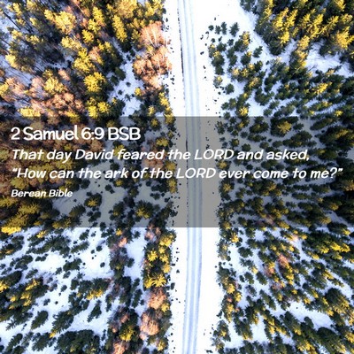 Picture 02 - 2 Samuel 6:9 BSB - That day David feared the LORD and asked, “How - Bible Verse Picture