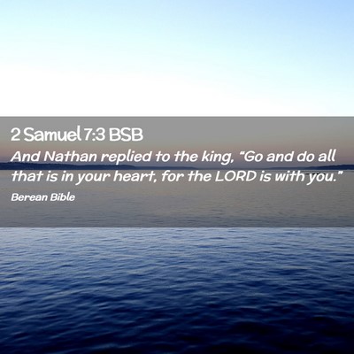 Picture 02 - 2 Samuel 7:3 BSB - And Nathan replied to the king, “Go and do all - Bible Verse Picture