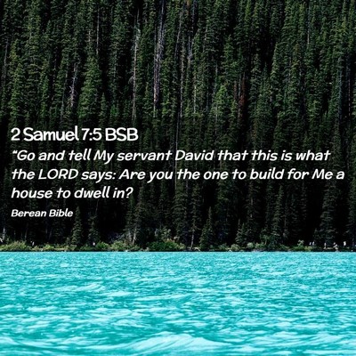 Picture 02 - 2 Samuel 7:5 BSB - “Go and tell My servant David that this is what - Bible Verse Picture