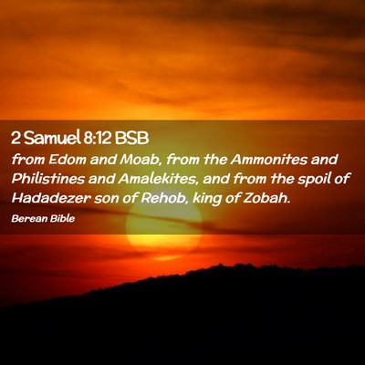 Picture 02 - 2 Samuel 8:12 BSB - from Edom and Moab, from the Ammonites and - Bible Verse Picture