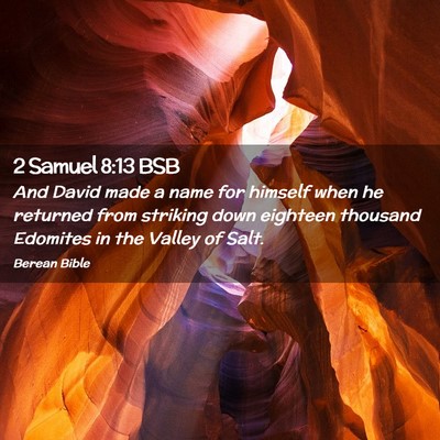 Picture 02 - 2 Samuel 8:13 BSB - And David made a name for himself when he - Bible Verse Picture