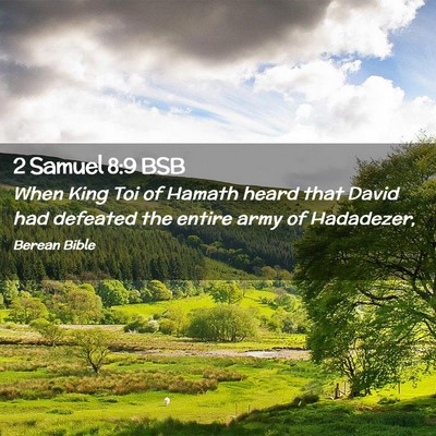 Picture 02 - 2 Samuel 8:9 BSB - When King Toi of Hamath heard that David had - Bible Verse Picture