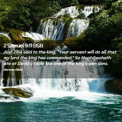 Picture 02 - 2 Samuel 9:11 BSB - And Ziba said to the king, “Your servant will - Bible Verse Picture