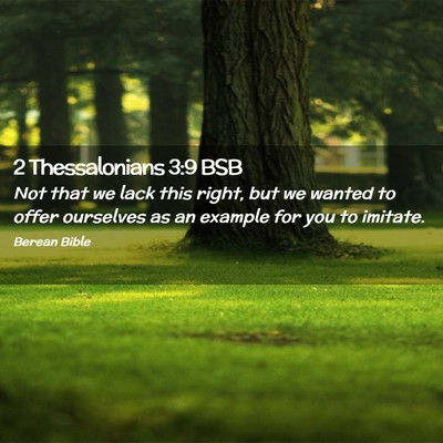 Picture 02 - 2 Thessalonians 3:9 BSB - Not that we lack this right, but we wanted to - Bible Verse Picture