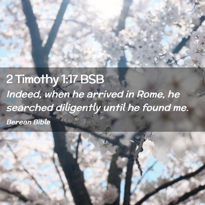 Picture 02 - 2 Timothy 1:17 BSB - Indeed, when he arrived in Rome, he searched - Bible Verse Picture