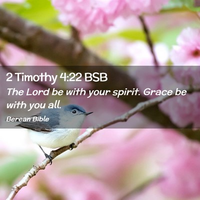 Picture 02 - 2 Timothy 4:22 BSB - The Lord be with your spirit. Grace be with you - Bible Verse Picture