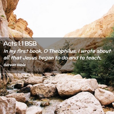 Picture 02 - Acts 1:1 BSB - In my first book, O Theophilus, I wrote about all - Bible Verse Picture