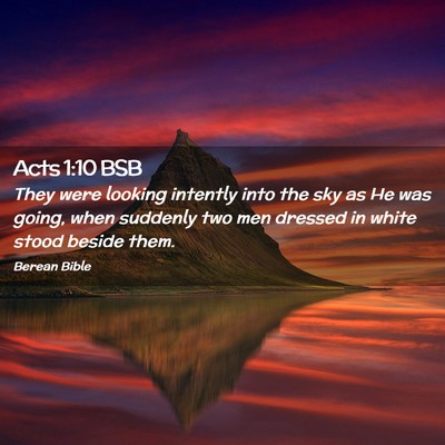 Picture 02 - Acts 1:10 BSB - They were looking intently into the sky as He was - Bible Verse Picture