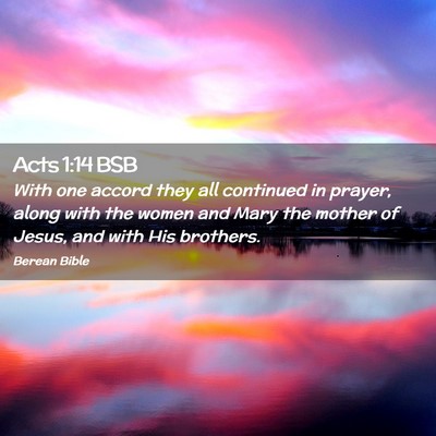Picture 02 - Acts 1:14 BSB - With one accord they all continued in prayer, - Bible Verse Picture