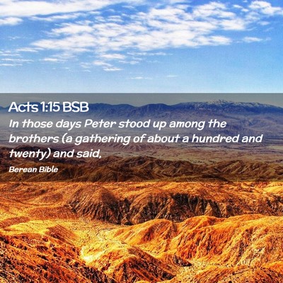 Picture 02 - Acts 1:15 BSB - In those days Peter stood up among the brothers - Bible Verse Picture