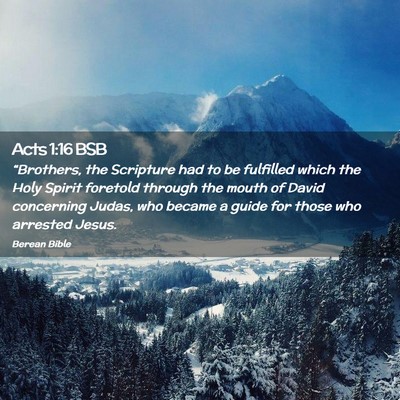 Picture 02 - Acts 1:16 BSB - “Brothers, the Scripture had to be fulfilled - Bible Verse Picture