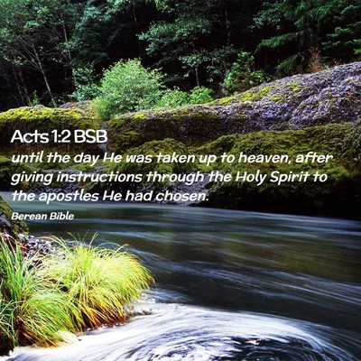 Picture 02 - Acts 1:2 BSB - until the day He was taken up to heaven, after - Bible Verse Picture