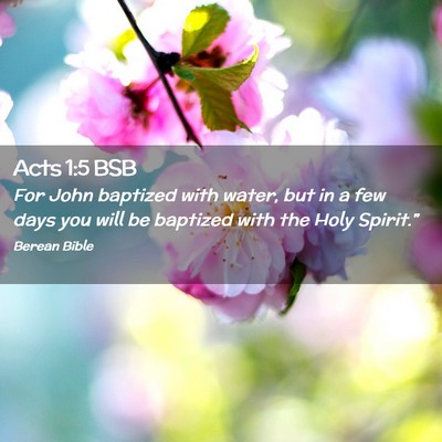 Picture 02 - Acts 1:5 BSB - For John baptized with water, but in a few days - Bible Verse Picture