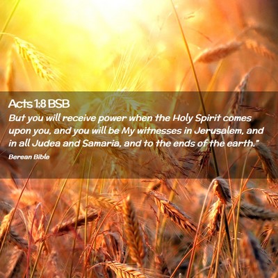 Picture 02 - Acts 1:8 BSB - But you will receive power when the Holy Spirit - Bible Verse Picture