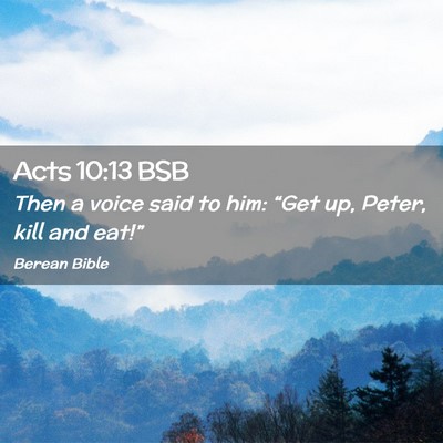 Picture 02 - Acts 10:13 BSB - Then a voice said to him: “Get up, Peter, kill - Bible Verse Picture