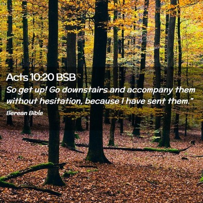 Picture 02 - Acts 10:20 BSB - So get up! Go downstairs and accompany them - Bible Verse Picture