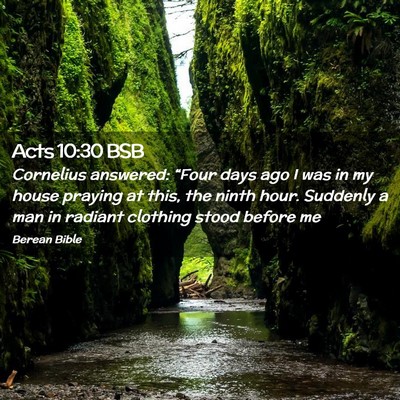 Picture 02 - Acts 10:30 BSB - Cornelius answered: “Four days ago I was in my - Bible Verse Picture